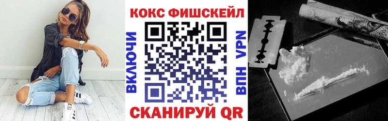 Кокаин Fish Scale  hydra рабочий сайт  Казань  купить  