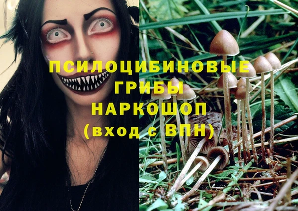 крисы Алексеевка