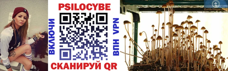 площадка какой сайт Казань Псилоцибиновые грибы Psilocybine cubensis купить наркоту