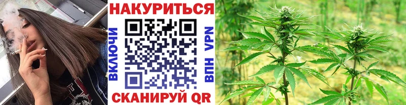 где можно купить наркотик  blacksprut ТОР  МАРИХУАНА сатива  Казань 